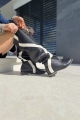 Czarne-Kozaki-Damskie-na-plaskie-podeszwie-model-MOOS-BLACK-skora-naturalna (16).jpeg